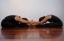 images1 partner yoga